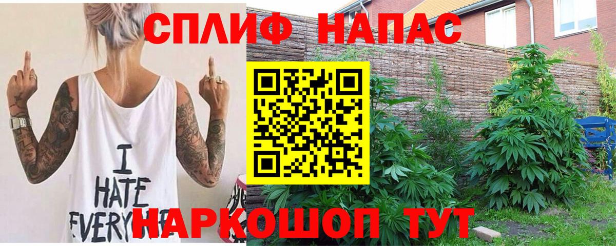 Шишки марихуана семена  Канабис планчик  Вход с VPN  Обь  Канабис MAZAR 